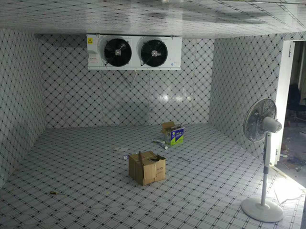 鸠江区超低温冷库设计